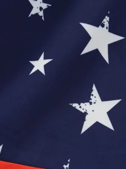 Clearance Retro Stage Blue 1950s Stars & Stripes Swing Dress Navy Blue
