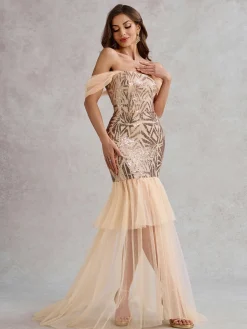 Sale Retro Stage 1920s Off-Shoulder Sequined Mesh Dress Champagne