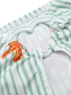 Outlet Retro Stage 1950s Floral Stripe Skirt Cover-Up Light Green
