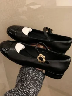 Hot Retro Stage Mary Jane Thick Heel Leather Shoes