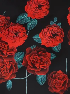 Online Retro Stage Red 1950s Rose Sleeveless Patchwork Dress Black