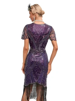 Clearance Retro Stage 1920s Cap Sleeves Tassel Sequined Dress