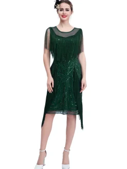 Best Retro Stage 1920s Gatsby Sheer Neck Tassel Sequins Dress